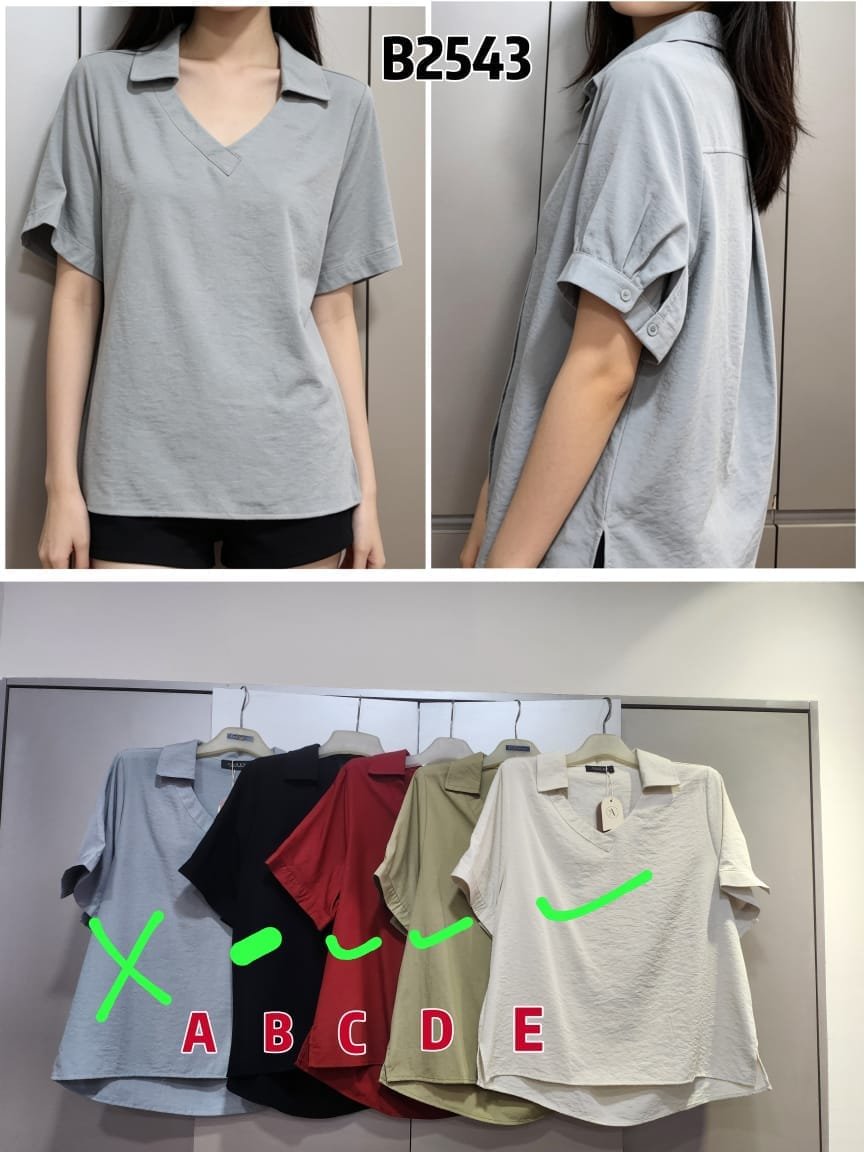 ASHLEY B2543 (251232) TOP