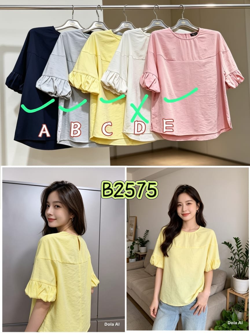 ASHLEY B2575 (260117) TOP