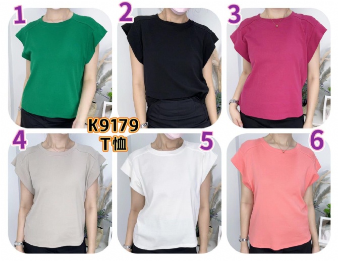 ASHLEY K9179 TOP (ZK-200)