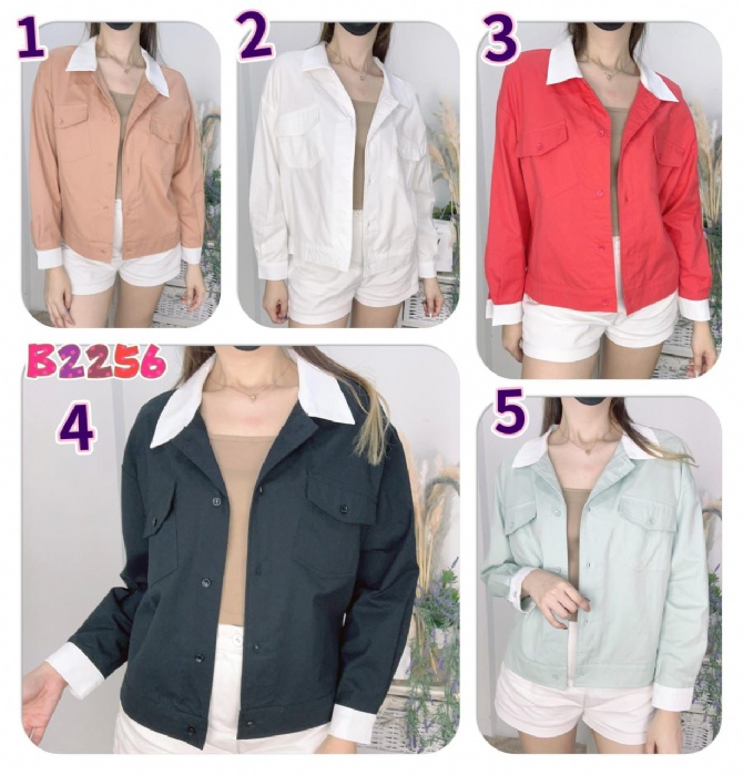 ASHLEY B2256 TOP (ZK-149)